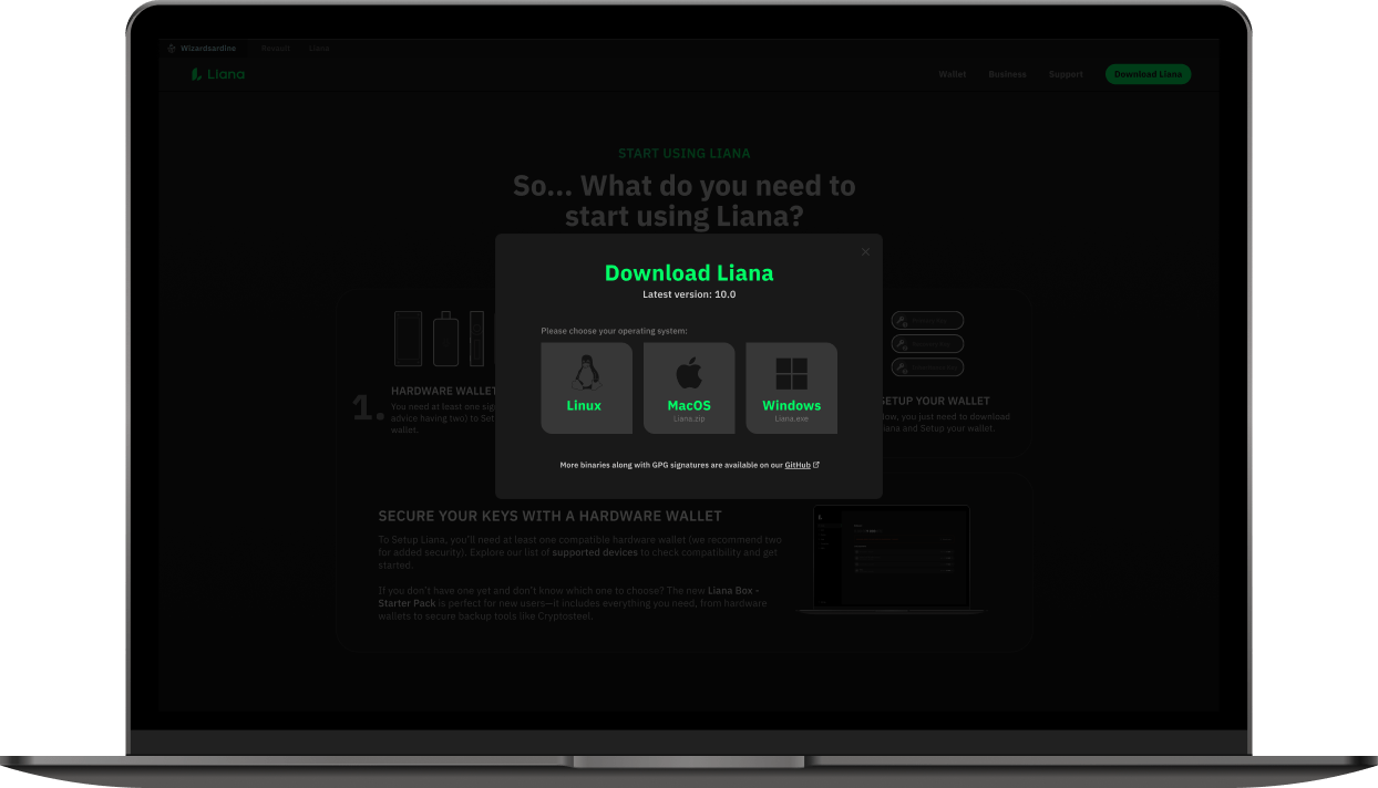 Liana UI on Laptop